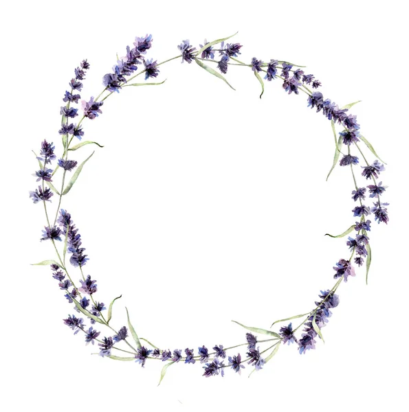 Aquarell Lavendelkranz vorhanden. handbemalte violette Blüten, Zweige und Blätter isoliert auf weißem Hintergrund. Federzeichnung für Design, Druck, Stoff oder Hintergrund. Vorlage für den Urlaub. — Stockfoto