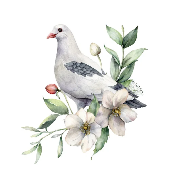 Ilustración de primavera de acuarela con un ramo de anémonas y paloma. Pájaros pintados a mano y flores aisladas sobre fondo blanco. Escena de vida silvestre para diseño, estampado, tela. plantilla de tarjeta de Pascua . — Foto de Stock