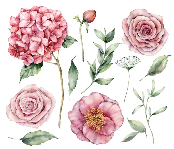 Conjunto de flores acuarela. Flores vintage pintadas a mano, rosas rosadas, hortensias y hojas de eucalipto aisladas sobre un fondo blanco. Ilustración botánica para diseño, impresión, tela o fondo . —  Fotos de Stock