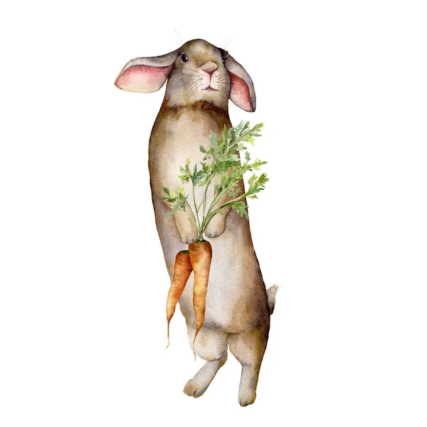 Акварель с кроликом и морковью. Ручной окрашенный коричневый кролик с морковью изолирован на белом фоне. Пасхальные иллюстрации для дизайна, печати, ткани или фона . — стоковое фото
