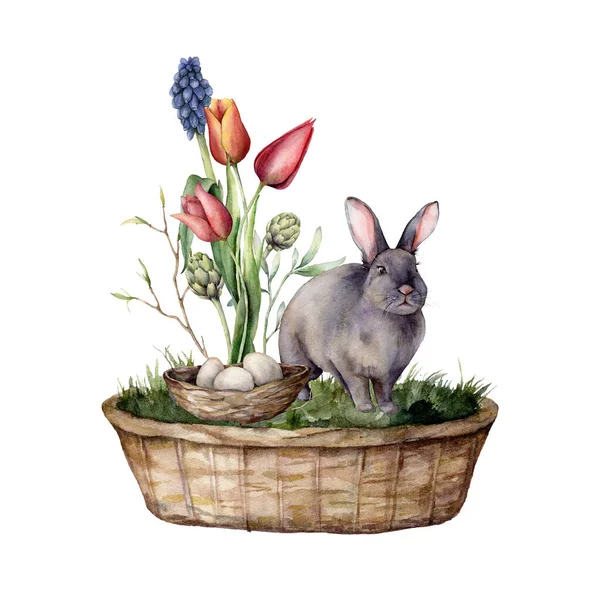 Watercolor Easter card with a rabbit and tulips. Hand painted rabbit, basket, eggs, grass and leaves isolated on a white background. Spring illustration for design, print, fabric or background. — Stock Photo, Image