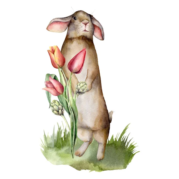 Watercolor card with a rabbit and a bouquet of tulips. Hand painted rabbit, artichoke, buds and leaves isolated on a white background. Spring illustration for design, print, fabric or background. — Stock Photo, Image