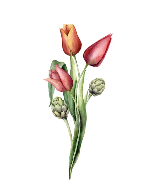 チューリップやアーティチョークの花束と水彩フラワーカード。手描きの休日の花、芽や葉は白い背景に隔離されます。デザイン、プリント、ファブリックまたは背景のための春のイラスト. — ストック写真