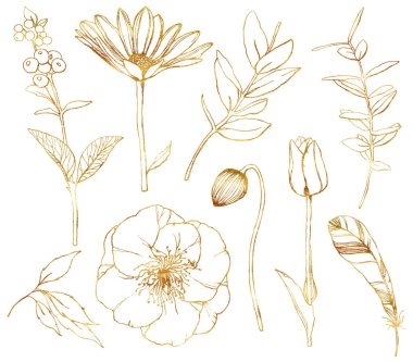 Suluboya altın çiçek seti. El yapımı papatya çayı, laleler, şakayık, yapraklar ve tüy beyaz arka planda izole edilmiş. Tasarım, baskı, kumaş veya arkaplan için botanik ilkbahar çizimi.