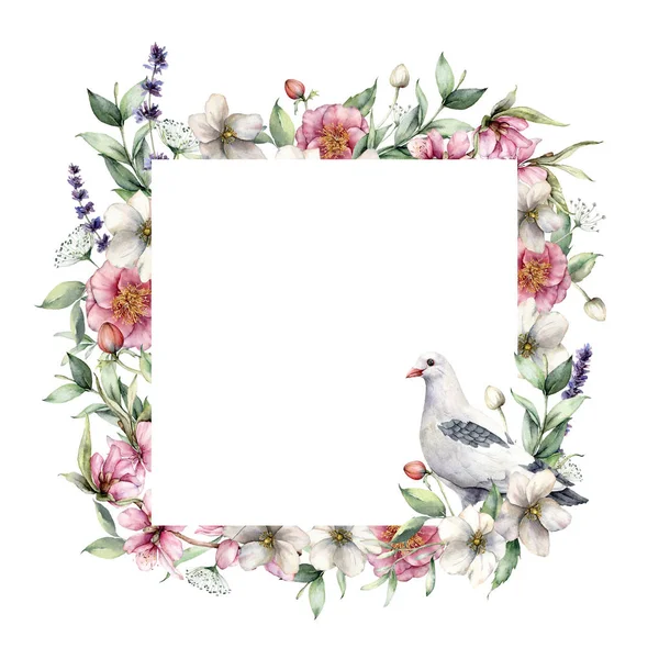 Akvarell virágos keret anemone és galamb. Kézzel festett virágok, madár, eukaliptusz levelek és rózsák elszigetelt fehér alapon. Tavaszi illusztráció tervezés, nyomtatás, szövet, háttér. — Stock Fotó