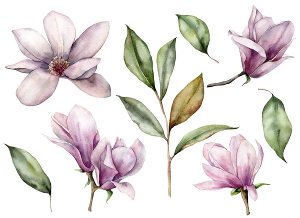 Υδατογραφία floral set με μπουμπούκι και μανόλιες. Χέρι βαμμένο λευκό και ροζ λουλούδια, φύλλα απομονώνονται σε λευκό φόντο. Εικονογράφηση άνοιξη για το σχεδιασμό, εκτύπωση, ύφασμα ή φόντο. — Φωτογραφία Αρχείου