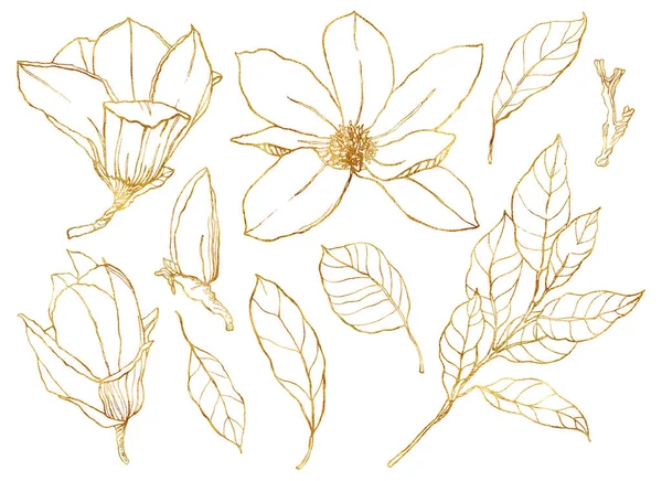 Aquarell Blumenset mit goldenen Blumen. Handbemalte Linienkunst Magnolien und Blätter isoliert auf weißem Hintergrund. Frühlingsillustration für Design, Druck, Stoff oder Hintergrund. — Stockfoto