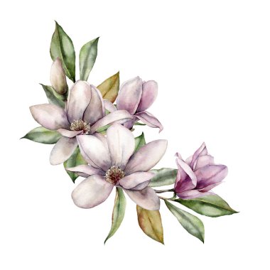 Suluboya manolya dalı. Beyaz ve pembe çiçekli el boyası çiçek kartı, yapraklar, buket ve tomurcuklar beyaz arka planda izole edilmiş. Tasarım, baskı, kumaş veya arkaplan için bahar çizimi.