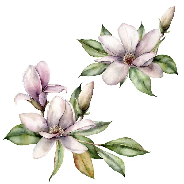 マグノリアの枝を持つ水彩セット。手描きの花カード。白い背景に花や葉が孤立した花束。デザイン、プリント、ファブリックまたは背景のための春のイラスト. — ストック写真