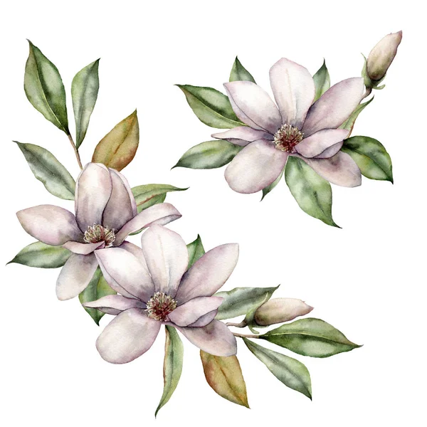 水彩マグノリアと葉がセットされています。手描きの花カード。白い背景に孤立した花で花束。デザイン、プリント、ファブリックまたは背景のための春のイラスト. — ストック写真