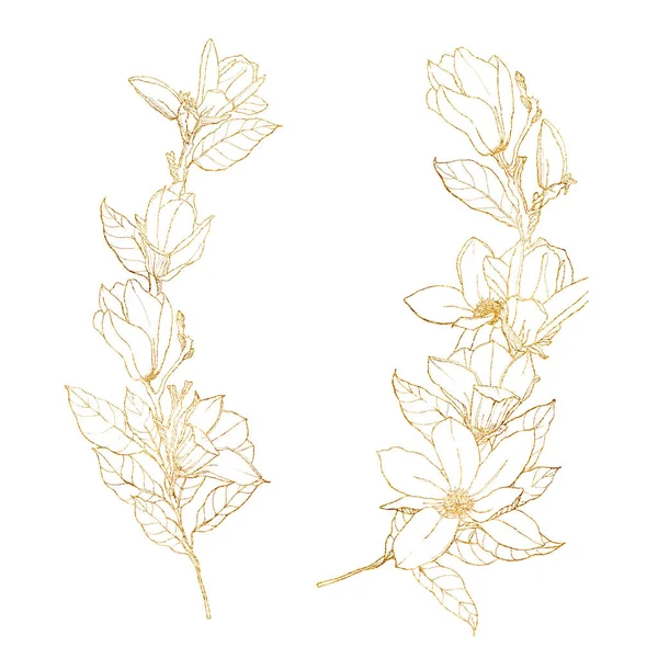 Set de acuarela dorada con magnolias de arte de línea. Tarjeta floral pintada a mano con flores, ramas, hojas y brotes aislados sobre fondo blanco. Ilustración de primavera para diseño, impresión, tela o fondo . — Foto de Stock