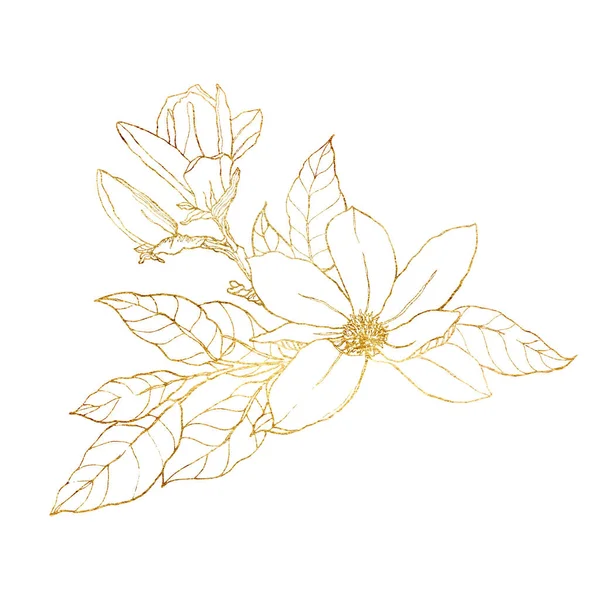 Υδατογραφία χρυσή κάρτα με γραμμή τέχνης magnolias. Χειροποίητη λουλουδένια απεικόνιση με λουλούδια, κλαδιά, φύλλα και μπουμπούκια που απομονώνονται σε λευκό φόντο. Για σχεδιασμό, εκτύπωση, ύφασμα ή φόντο ελατηρίου. — Φωτογραφία Αρχείου