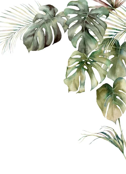 モンスターとココナッツの葉と水彩熱帯フレーム。手描きのエキゾチックな葉は白い背景に隔離されています。デザイン、プリント、ファブリックまたは背景のための花のイラスト. — ストック写真