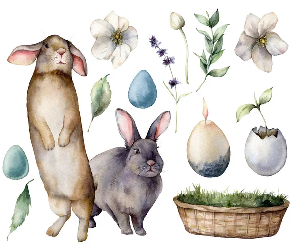 Акварельные кролики и пасхальные символы. Цветные яйца ручной работы, цветы и растения, декор. Праздничная иллюстрация выделена на белом фоне. Для дизайна, печати, ткани или фона . — стоковое фото