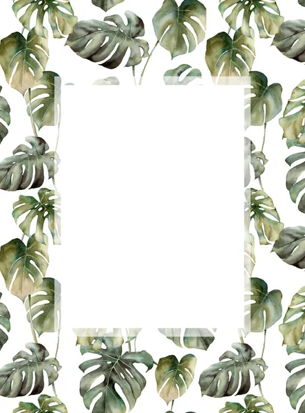 Borde tropical acuarela con hojas de monstera. Tarjeta pintada a mano con ramas exóticas aisladas sobre fondo blanco. Ilustración floral para diseño, impresión, tela o fondo . —  Fotos de Stock