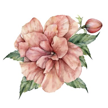 İçinde pembe amber çiçeği olan suluboya bir yaz kartı. Elle boyanmış tropik çiçekler ve beyaz arka planda izole edilmiş yapraklar. Tasarım, baskı ve arkaplan için çiçek çizimi.