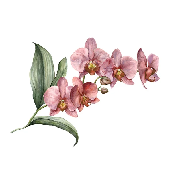 Buquê de aquarela com orquídea rosa. Cartão tropical pintado à mão com flores, ramos e folhas isoladas sobre fundo branco. Ilustração floral para design, impressão, fundo. Modelo de verão . — Fotografia de Stock