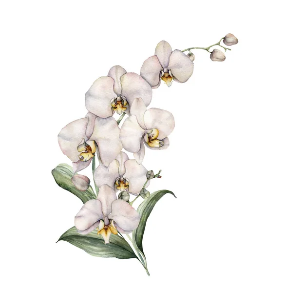 Aquarellstrauß mit weißen Orchideen. Handbemalte tropische Karte mit Blumen, Zweigen und Blättern auf weißem Hintergrund. Florale Illustration für Design, Druck, Hintergrund. Vorlage Sommer. — Stockfoto