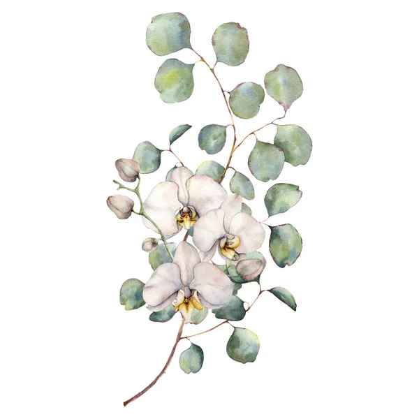 Υδατογραφία μπουκέτο με λευκές ορχιδέες και ασημένια φύλλα ευκαλύπτου. Ζωγραφισμένη στο χέρι τροπική κάρτα με λουλούδια που απομονώνονται σε λευκό φόντο. Floral εικονογράφηση για σχεδιασμό, εκτύπωση, φόντο. — Φωτογραφία Αρχείου
