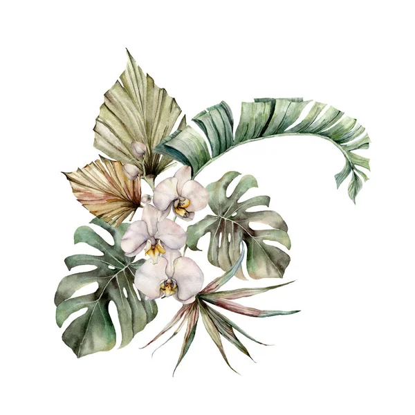 Αδιάβροχο μπουκέτο με ορχιδέες, monstera, φοίνικα και φύλλα μπανάνας. Χειροποίητη τροπική κάρτα με λουλούδια και κλαδιά που απομονώνονται σε λευκό φόντο. Floral εικονογράφηση για σχεδιασμό, εκτύπωση ή φόντο. — Φωτογραφία Αρχείου