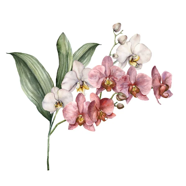 Ramo de acuarela con orquídeas rosadas y blancas. Tarjeta tropical pintada a mano con flores, ramas y hojas aisladas sobre fondo blanco. Ilustración floral para diseño, impresión, fondo . — Foto de Stock