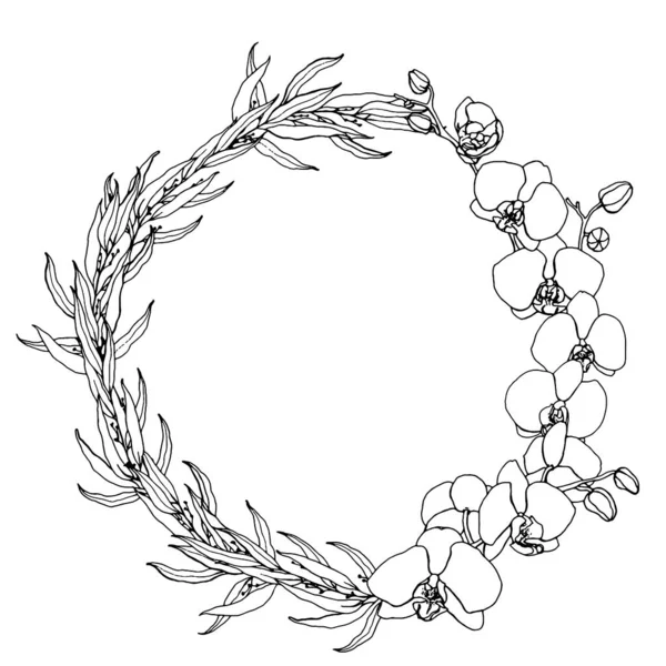 Vector line art wreath with eucalyptus and flowering orchids. Hand painted tropical flowers, branches and leaves isolated on white background. Floral illustration for design, print or background. — Stock Vector
