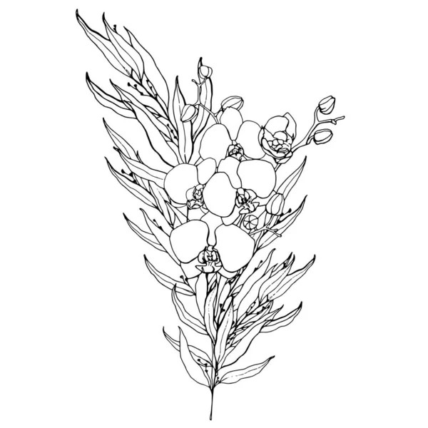 Vektor linje konst bukett med orkidéer och eukalyptus. Handmålat tropiskt kort med blommor, grenar och blad isolerade på vit bakgrund. Blommig illustration för design, tryck, bakgrund. — Stock vektor