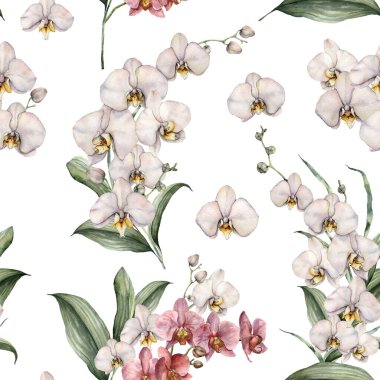 Pembe ve beyaz orkideli suluboya desenli. El boyası tropik çiçekler, dallar, tomurcuklar ve yapraklar beyaz arka planda izole edilmiş. Tasarım, baskı veya arkaplan için çiçek illüstrasyonu.