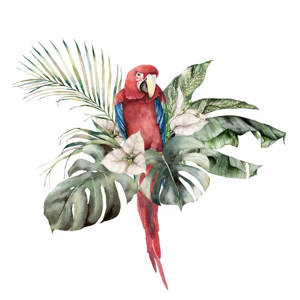 Aquarell tropische Karte mit rotem Papagei und Palmblättern. Handgezeichnete Bananen-, Kokos- und Monsterblätter. Florale Illustration isoliert auf weißem Hintergrund für Design, Druck oder Hintergrund. — Stockfoto