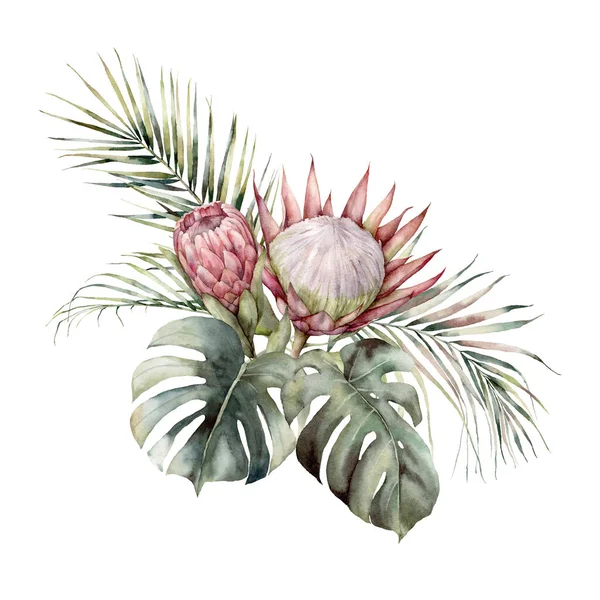 킹, 퀸 프로 테아, 팜 잎 과 함께 있는 워터 컬러 열 대 카드입니다. 손으로 분홍색 꽃, 코코넛, 몽스 타라 잎을 그렸다. 디자인, 인쇄, 배경을 위해 흰색 배경에 분리 된 식물상 삽화. — 스톡 사진