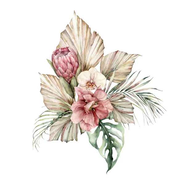 Akvarell csokor Proteával, orchideával és hibiszkusszal. Kézzel festett virágok, kókuszdió és szörnylevelek. Virágos illusztráció elszigetelt fehér háttér tervezés, nyomtatás. Nyári sablon. — Stock Fotó