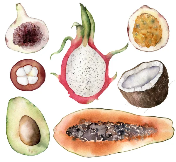 Uppsättning akvarell tropiska frukter. Handmålade avokado, kokos, drake frukt, fikon, mangostana, passionsfrukt och papaya på vit bakgrund. Mat illustration för design, tryck, tyg, bakgrund. — Stockfoto