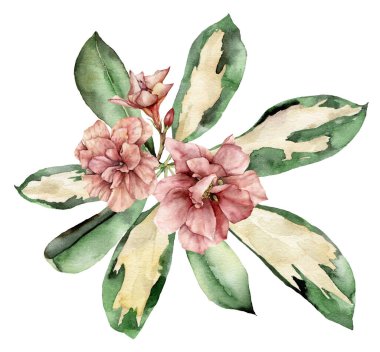 İçinde çiçek buketi ve draacaena yaprakları olan suluboya bir yaz kartı. Beyaz arka planda izole edilmiş el boyası pembe tropik çiçekler. Tasarım, baskı veya arkaplan için çiçek illüstrasyonu.