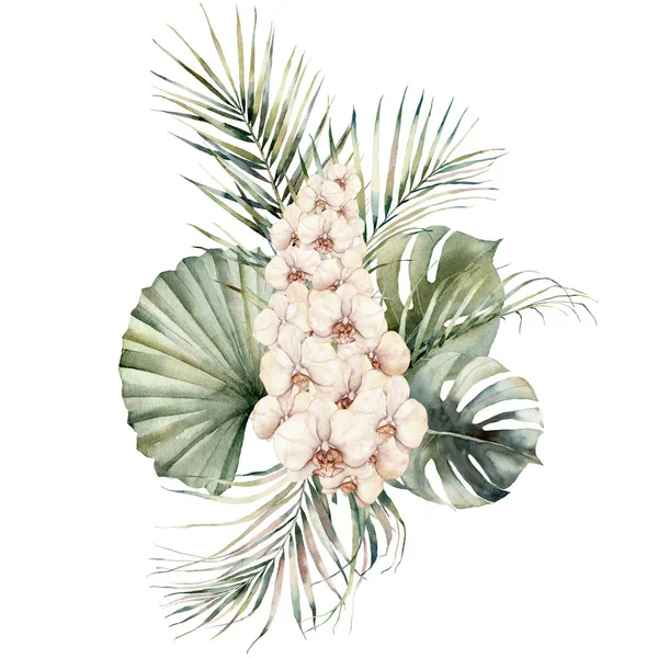Watercolor winter floral elements on white background. Vintage style set  with christmas tree branches, bells, holly, mistletoe, poinsettia flower,  leaves. Flower hand painted design Stock Illustration by ©Derbisheva  #128363966