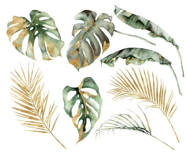 바나나 , 야자 및 몬 스타라 황금빛 잎사귀 로 워터 컬러 열 대 지방을 만든다. 손으로 흰 바탕에 나뭇가지와 가지를칠 하였다. 설계, 인쇄물, 배경을 설명하는 식물 정글 삽화. — 스톡 사진