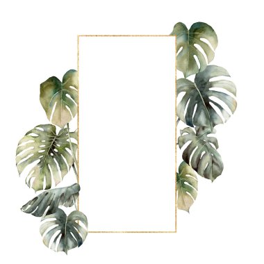 Canavar yapraklı suluboya altın çerçeve. Beyaz arka planda palmiye yaprakları olan el boyalı tropikal bir kart. Tasarım, baskı ya da arka plan için çiçek çizimi. Yaz şablonu.