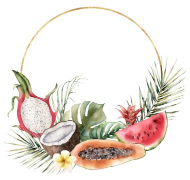Tropikal meyveli suluboya altın çerçeve. El boyası papaya, hindistan cevizi, ejderha meyvesi, karpuz ve beyaz arka planda izole edilmiş palmiye yaprakları. Tasarım, baskı veya arkaplan için çiçek illüstrasyonu.