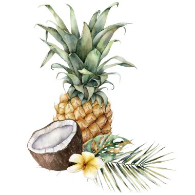 Tropikal meyvelerin suluboya bileşimi. Beyaz arka planda ananas, hindistan cevizi, su tesisatı ve palmiye yapraklarıyla el boyaması bir kart. Tasarım, baskı ve arkaplan için çiçek ve gıda çizimi.