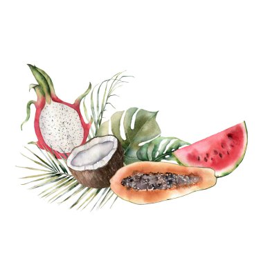 Tropikal meyveli suluboya kompozisyon. El boyası papaya, hindistan cevizi, ejderha meyvesi, karpuz ve beyaz arka planda izole edilmiş palmiye yaprakları. Tasarım, baskı veya arkaplan için çiçek illüstrasyonu.