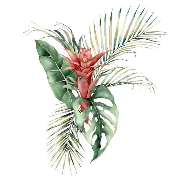 Watercolor tropical bouquet with guzmania, palm and monstera leaves. Hand painted card with red flowers and leaves isolated on white background. Floral illustration for design, print or background. — Stock Photo, Image