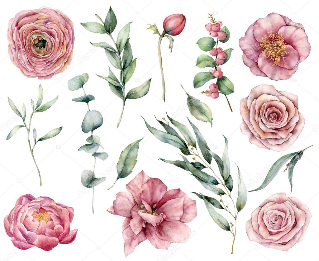 Watercolor floral set with pink flowers and greenery. Hand painted pink roses, buds, berries and eucalyptus leaves isolated on white background. Botanical illustration for design, print, fabric.