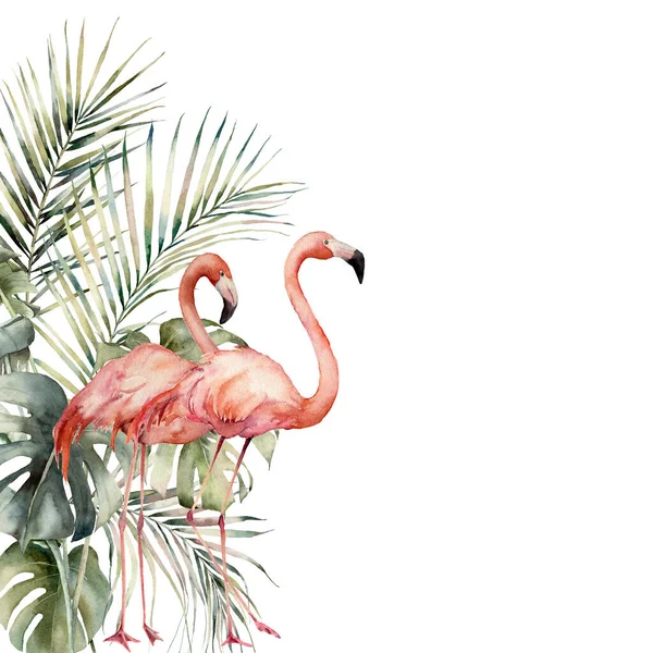 水彩斑斓的热带卡上有一对粉色的火烈鸟和棕榈叶.手绘椰子和魔芋叶框.在白色背景上孤立的用于设计、印刷或背景的花卉图解. — 图库照片