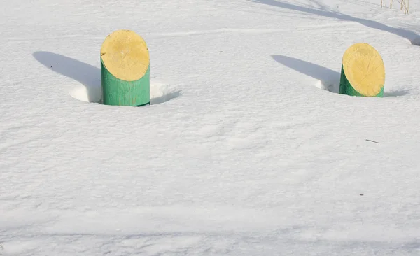 Bâtons en bois vert dans la neige — Photo