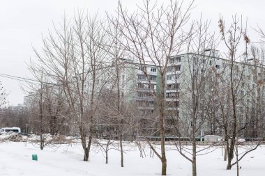 karlı bir bahçede ağaçlar