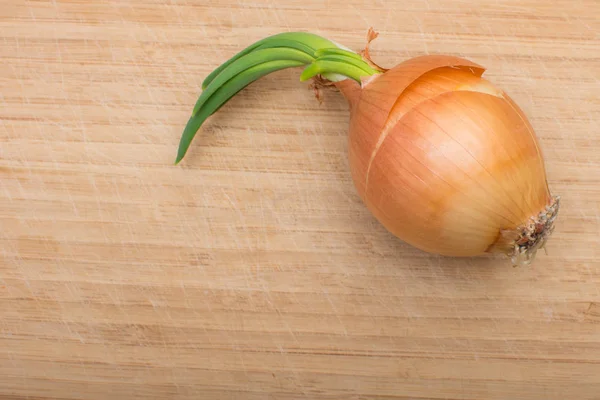 Zwiebeln auf einem Holztisch — Stockfoto