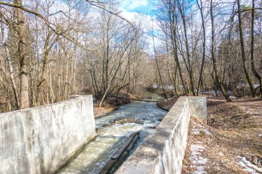 Bahar orman ve gökyüzü
