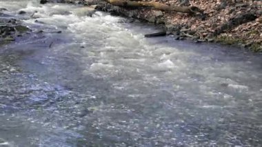 Creek bir bahar parkta. Açık su manzara