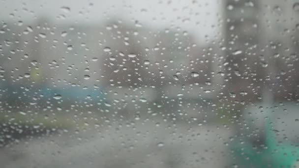 雨滴落在挡风玻璃上。透过挡风玻璃看. — 图库视频影像