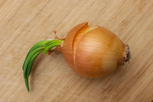 Zwiebeln auf einem Holztisch — Stockfoto