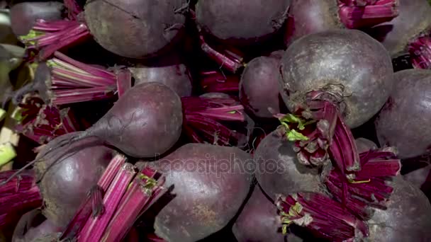 Close up van rode bieten. — Stockvideo